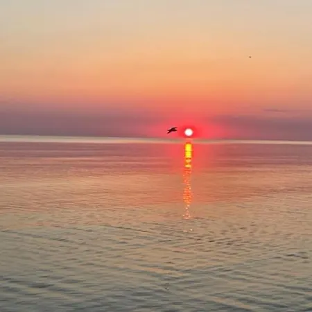 Vila Satera Palanga